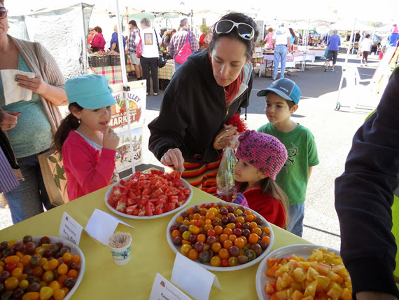 Children sample tomatoes at the fair Children sample tomatoes at the fair