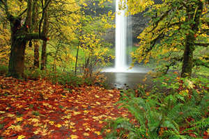 Ian Sane Silver Falls Title - Dream Pool Ian Sane Silver Falls Title - Dream Pool
