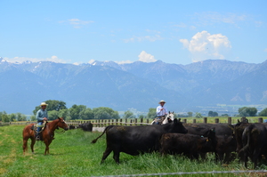 Ranching_Baker County Tourism Ranching_Baker County Tourism