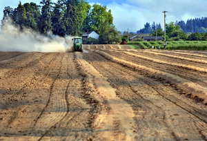 Evening Shadows_Ian Sane Photography_Tractor Evening Shadows_Ian Sane Photography_Tractor