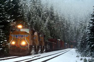 Bruce Fingerhood Snow Train Heather Oregon 2 Bruce Fingerhood Snow Train Heather Oregon 2